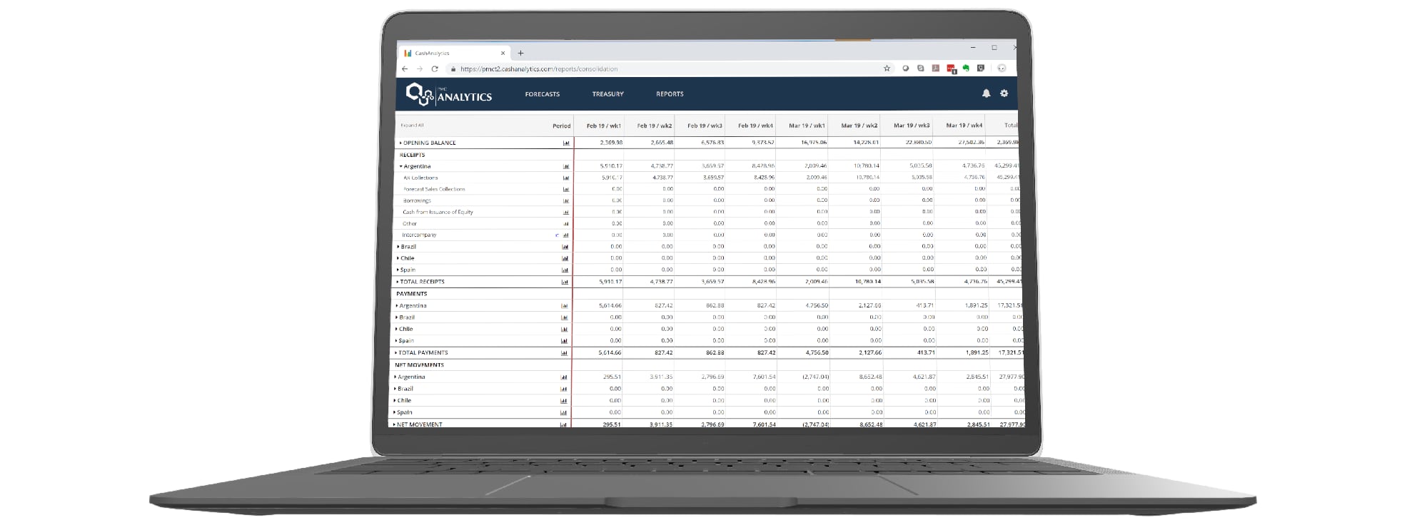 Cash Management - Liquidity Screenshot